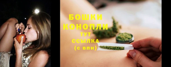 мет Няндома