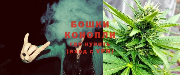 ПСИЛОЦИБИНОВЫЕ ГРИБЫ Остров
