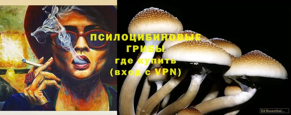 ПСИЛОЦИБИНОВЫЕ ГРИБЫ Остров