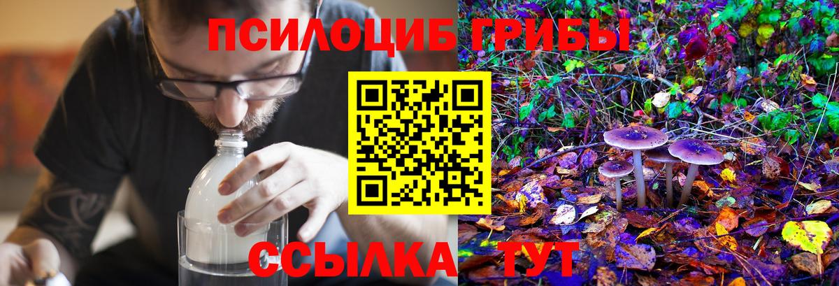 Псилоцибиновые грибы Psilocybine cubensis Кирово-Чепецк