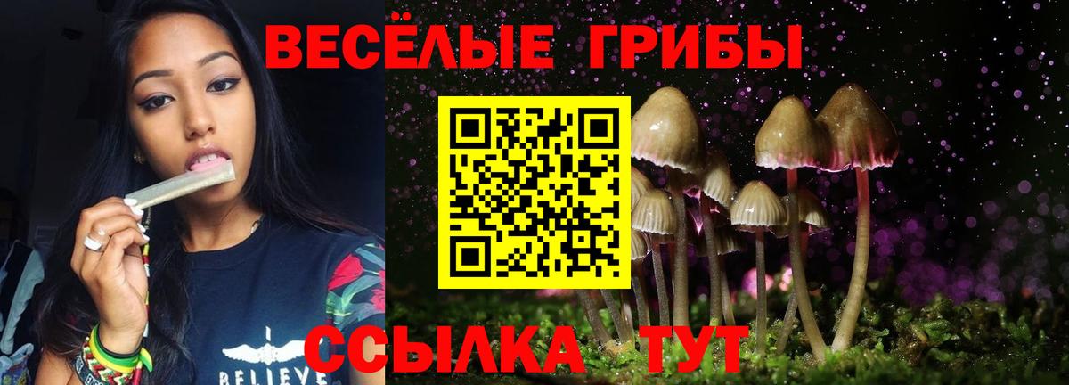 Галлюциногенные грибы Psilocybe  Псилоцибиновые грибы мухоморы  Кирово-Чепецк 